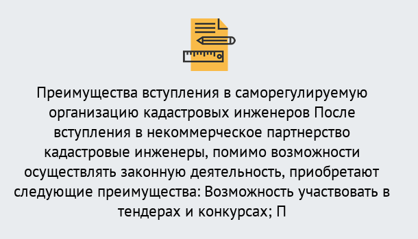 Почему нужно обратиться к нам? Солнечногорск Что дает допуск СРО кадастровых инженеров?