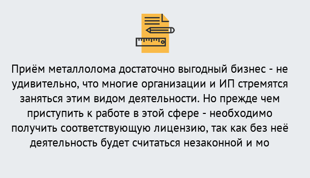 Почему нужно обратиться к нам? Солнечногорск Лицензия на металлолом. Порядок получения лицензии. В Солнечногорск