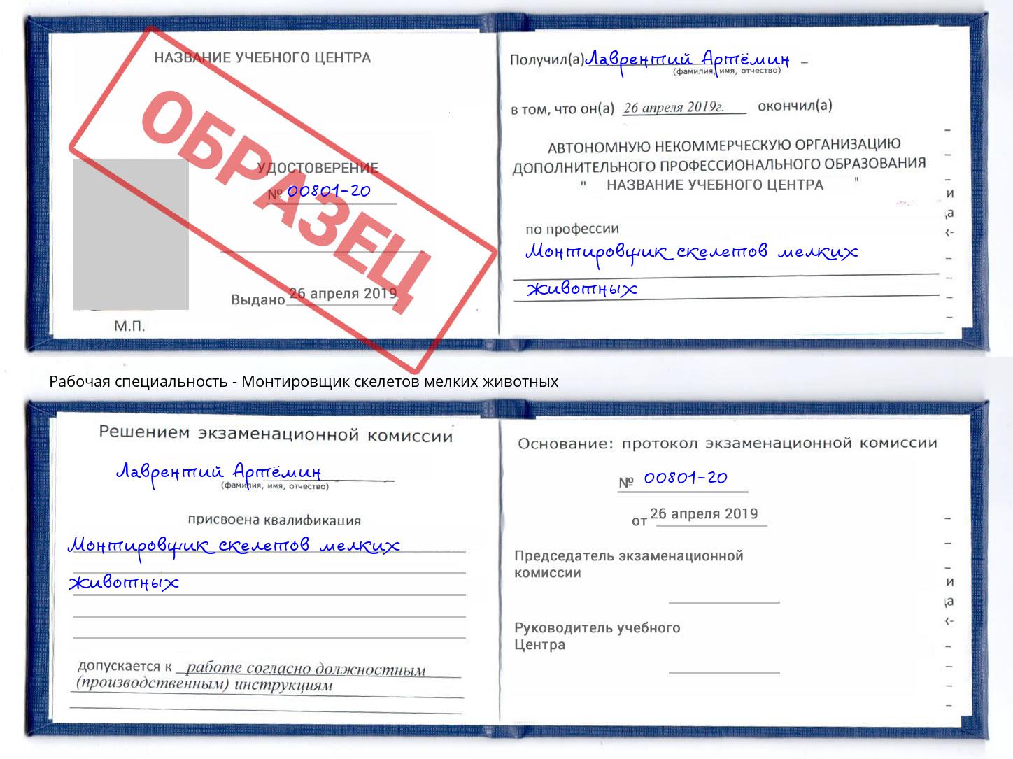 Монтировщик скелетов мелких животных Солнечногорск