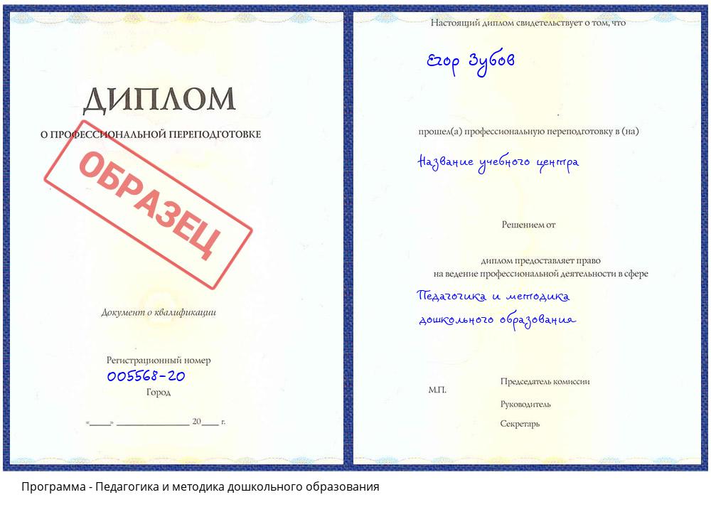 Педагогика и методика дошкольного образования Солнечногорск