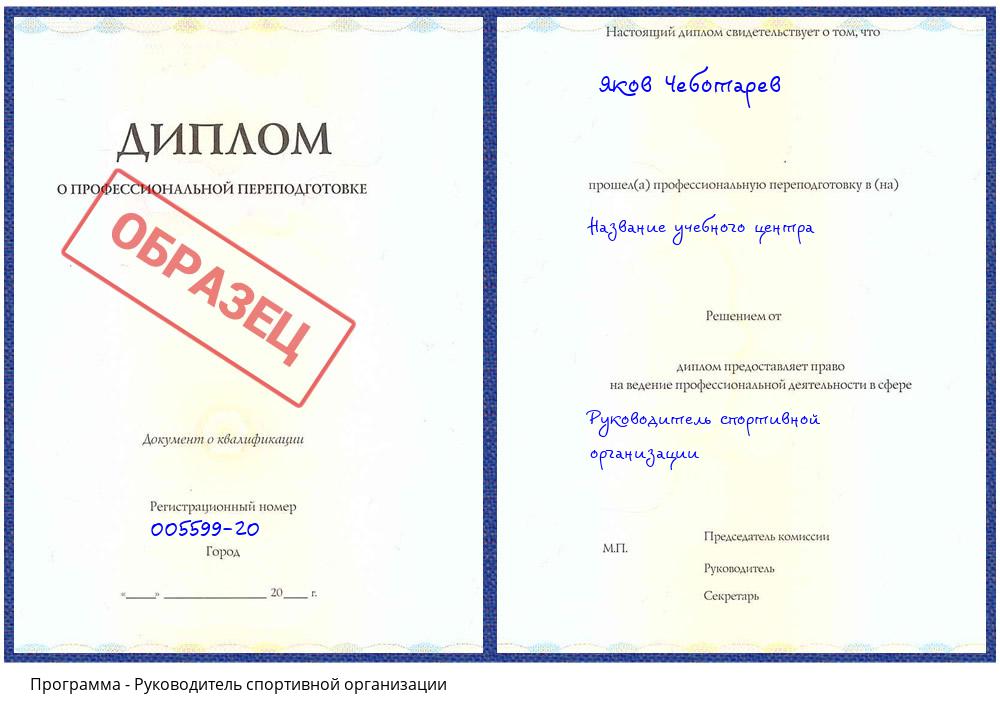 Руководитель спортивной организации Солнечногорск