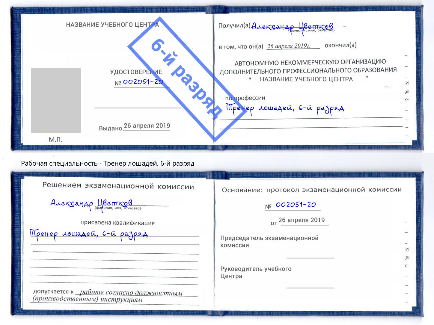 корочка 6-й разряд Тренер лошадей Солнечногорск