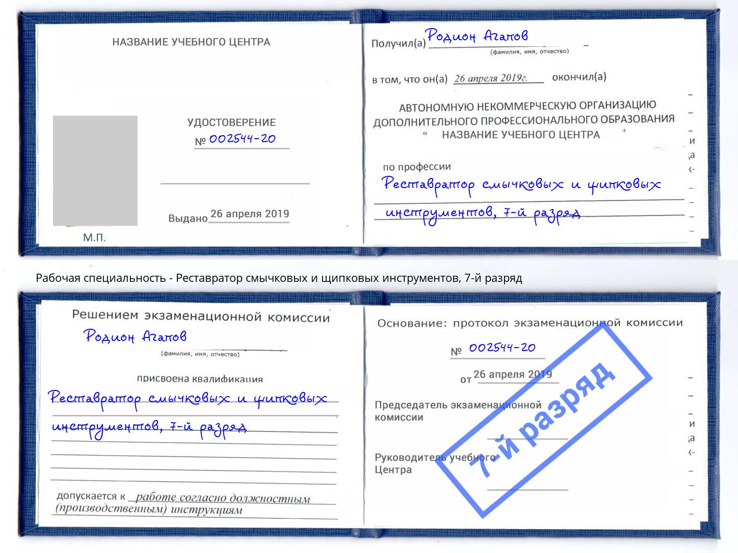 корочка 7-й разряд Реставратор смычковых и щипковых инструментов Солнечногорск