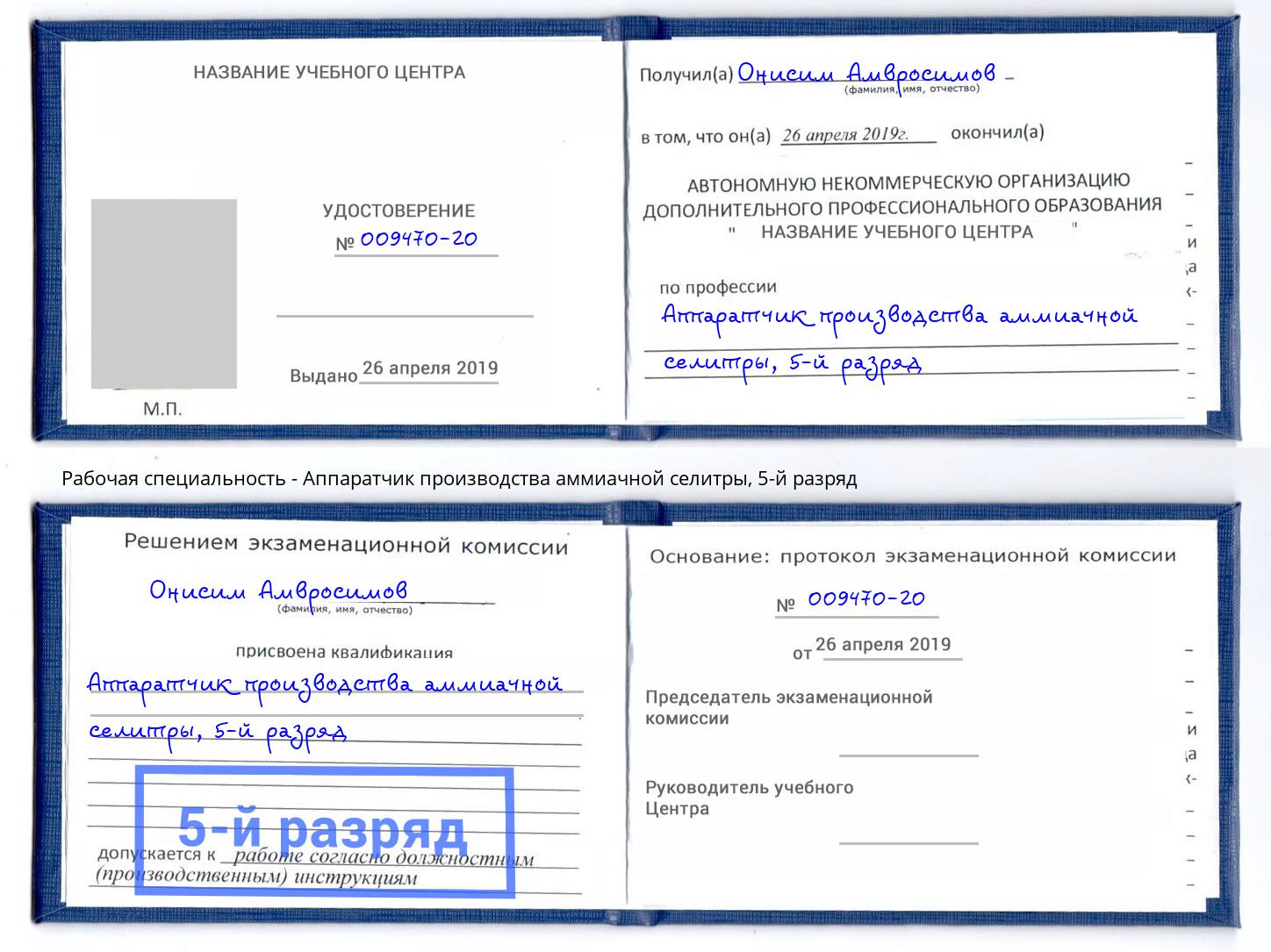 корочка 5-й разряд Аппаратчик производства аммиачной селитры Солнечногорск