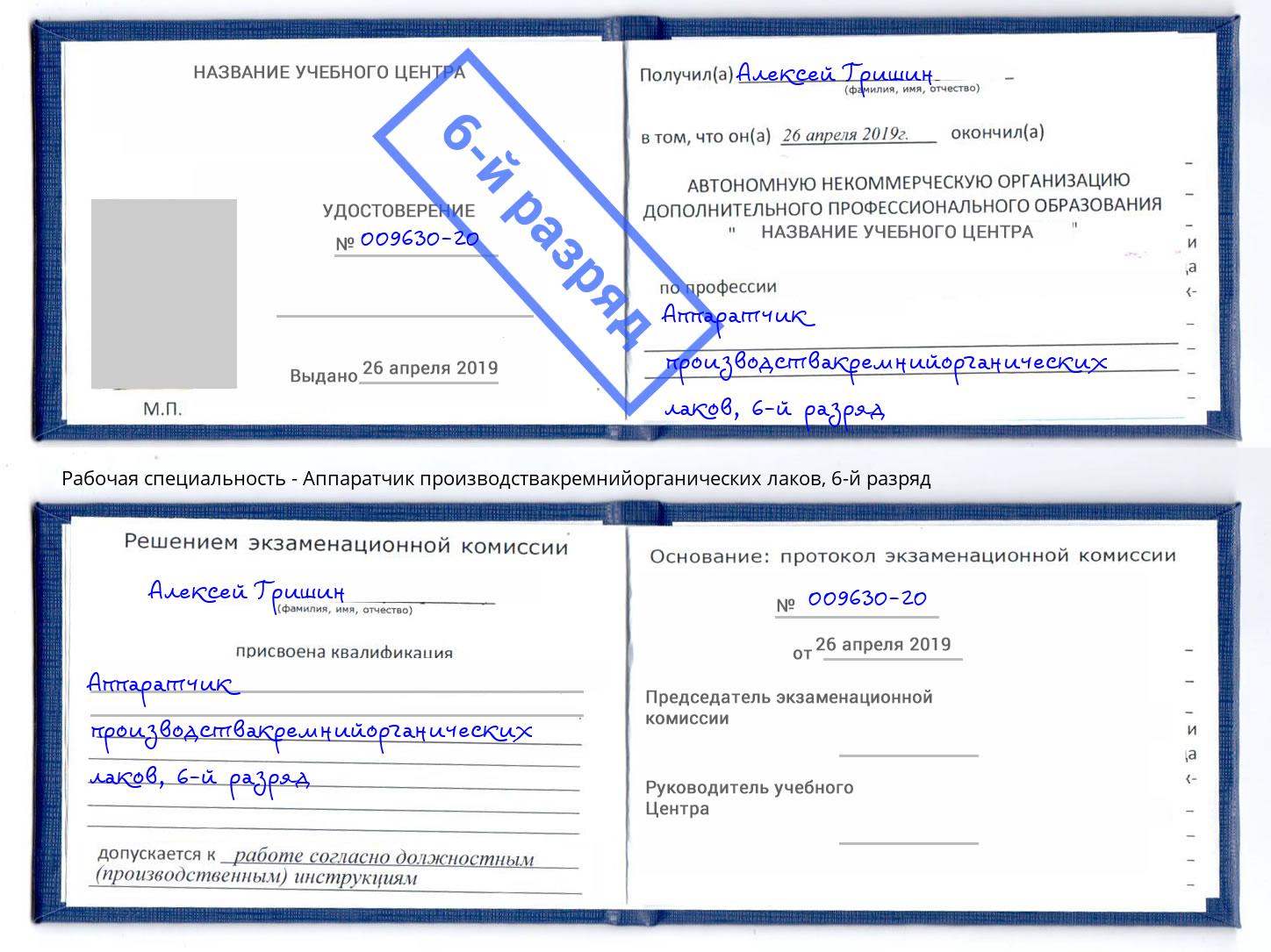 корочка 6-й разряд Аппаратчик производствакремнийорганических лаков Солнечногорск