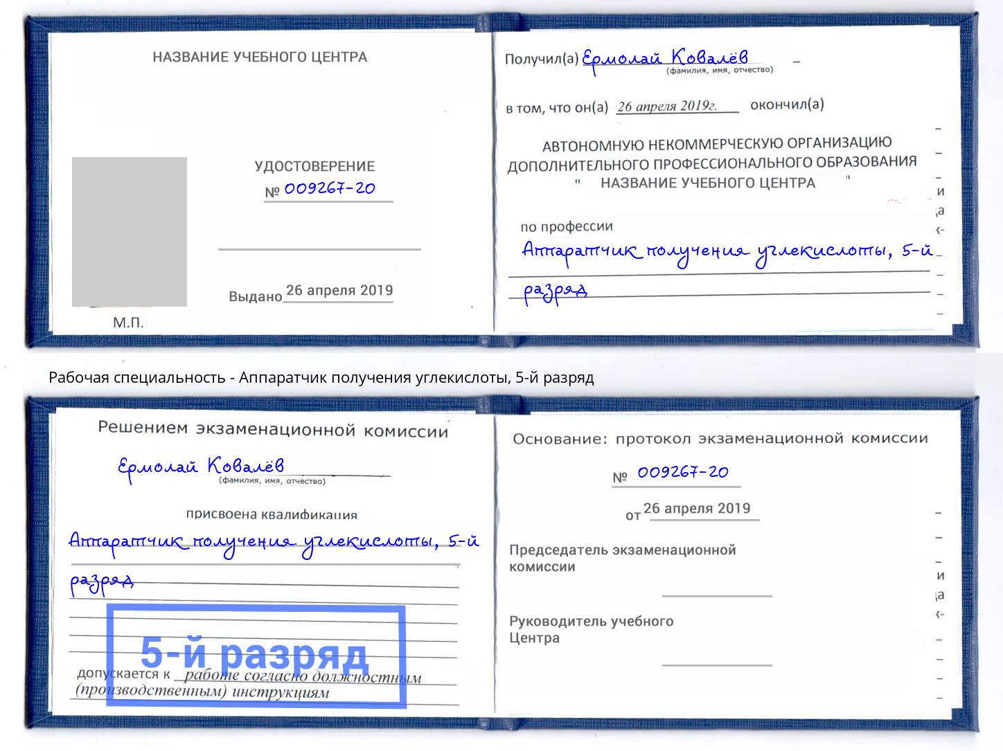 корочка 5-й разряд Аппаратчик получения углекислоты Солнечногорск